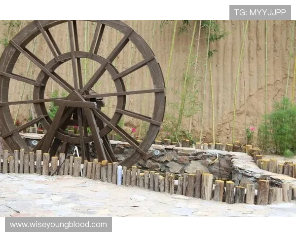 利发真人官方地址的备用登录入口完整介绍确保不中断游戏体验