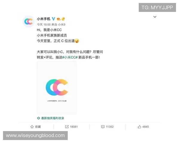 凯发手机会员注册流程详解助你轻松成为VIP会员