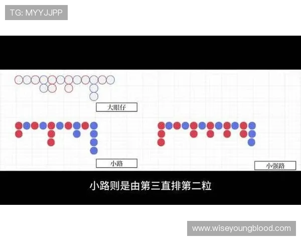 全面解析百家乐下三路图解的玩法规则与图示示意图提升你的游戏胜率