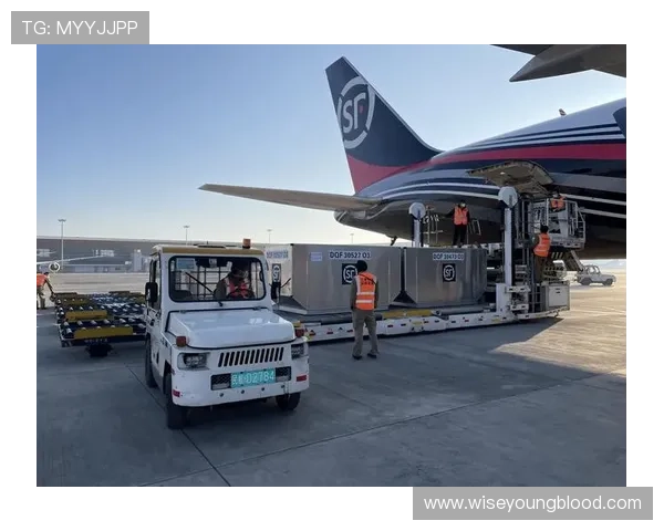 AG视讯唯一官网接口全面解析助你轻松实现无缝对接与安全保障