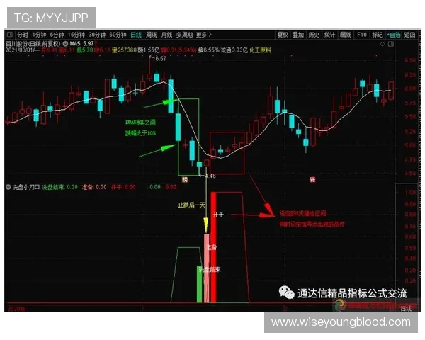 掌握AG真人龙虎的投注策略实现稳健盈利的实用建议与技巧