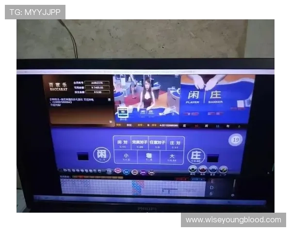 百家乐路单收集官网助你掌握最新趋势，科学分析游戏走势提升赢钱概率的必备工具