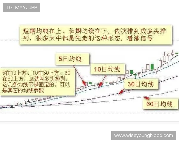 如何运用科学的百家乐下注技巧实现稳定盈利的实战经验分享