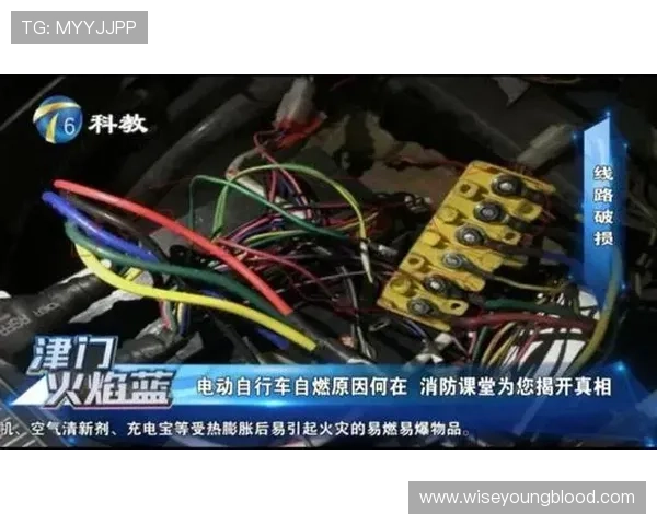 选择AG电投网的理由，优质游戏资源与安全保障让您放心投注体验